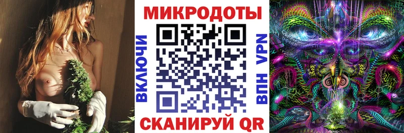 Галлюциногенные грибы Magic Shrooms  закладки  Махачкала 